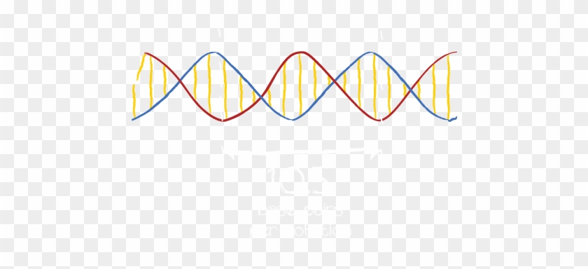 If The Twist Of Two Adjacent Helices Line Up, We Create - Dna Strand No Background #733434