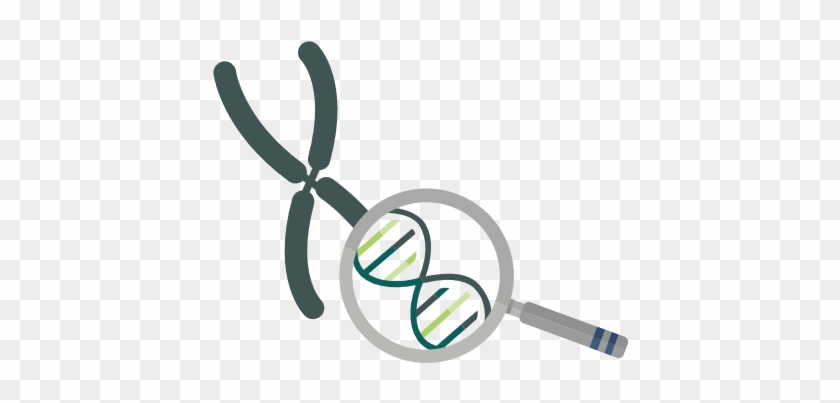 Dna - Storage Cable #733545