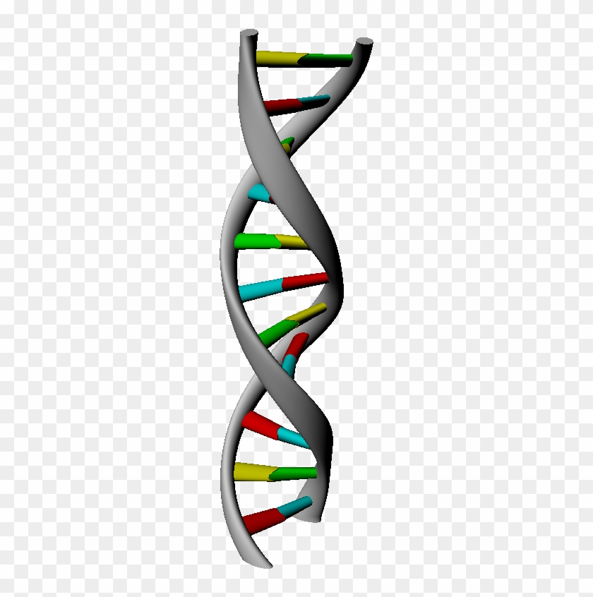 3d Dna Strand Rendering - 3d Dna Strand Rendering #733557