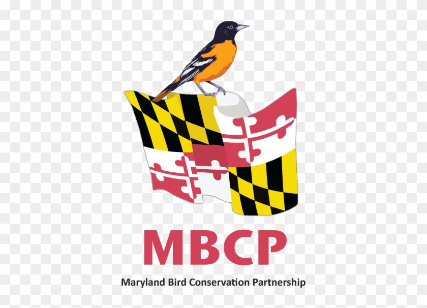 Bcp Logo 170px - Bcp Logo 170px #734135