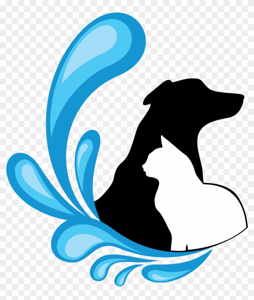 Sunshine Beach Vet - Dog #734171