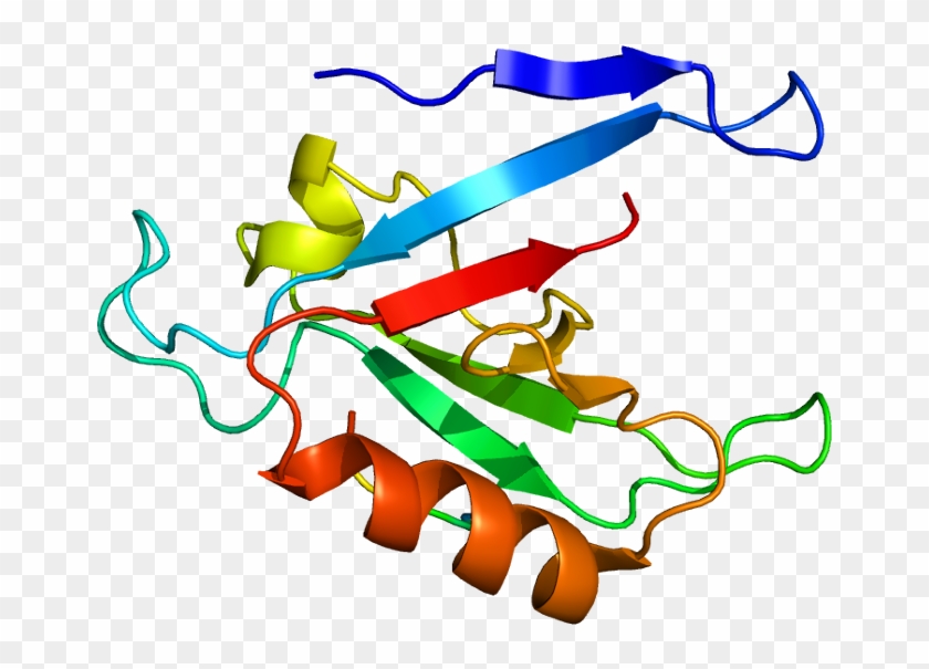 Protein Rims1 Pdb 1zub - Rims1 #734624