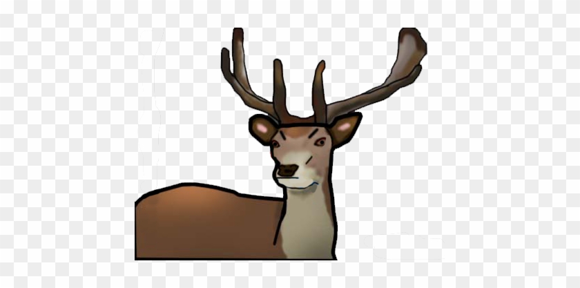 I Then Had To Draw Three Images Of An Animal So I Chose - Reindeer #735131