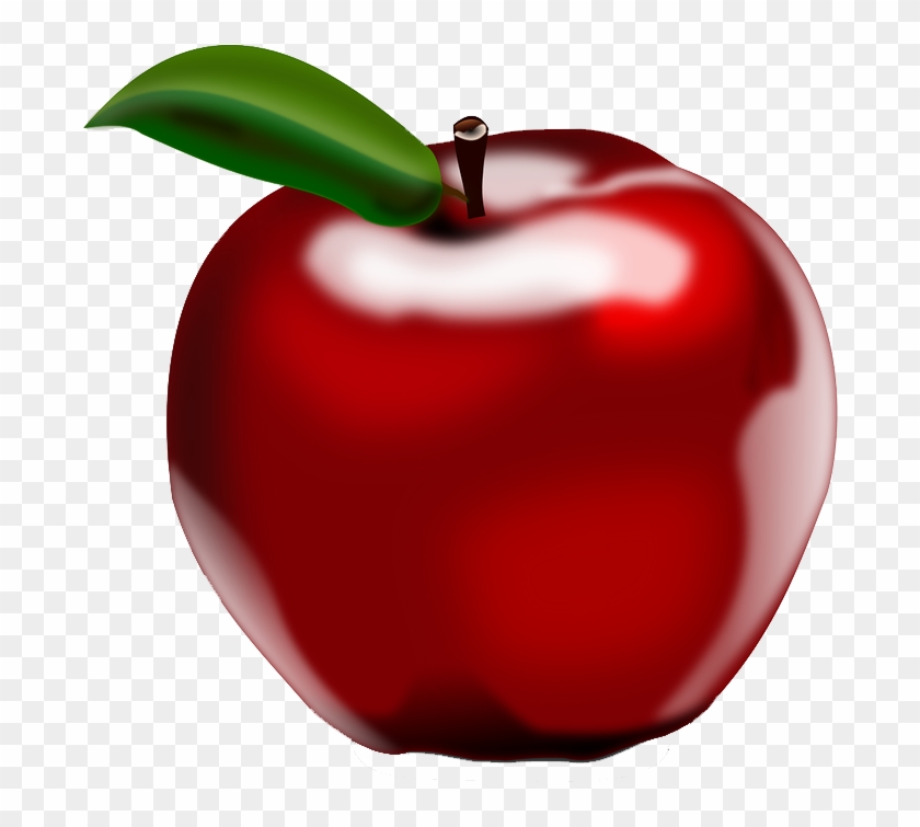 Apple Cider Vinegar Fruit Illustration - Apple Cider Vinegar Fruit Illustration #736334
