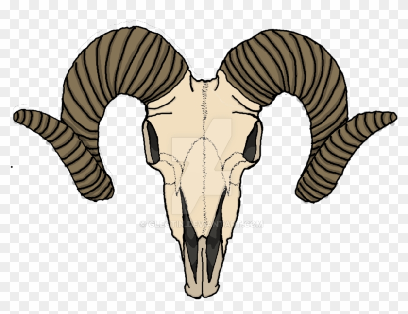 Goat Skull By Glectin - Goat Skeleton Head #737621