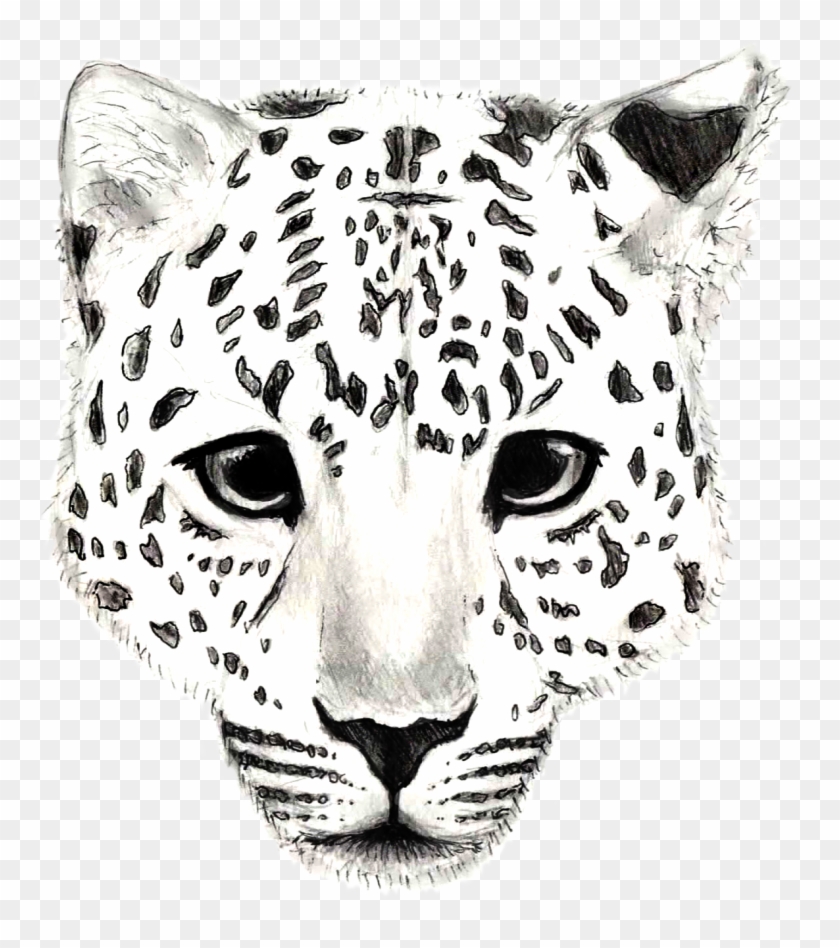 Final Major Project - Jaguar #738121