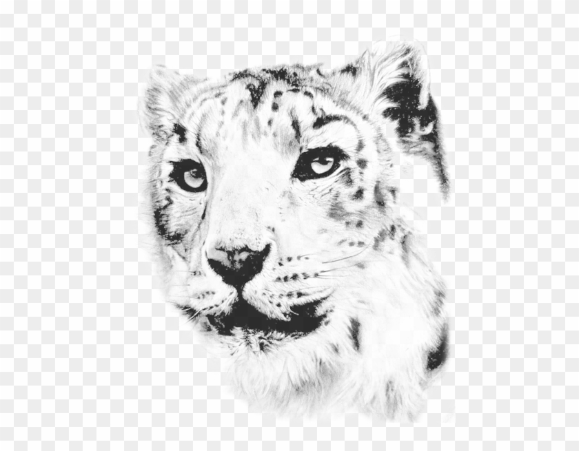 Buz Va Xar Bechora<br /> <br - Buz Va Xar Bechora<br /> <br #738177
