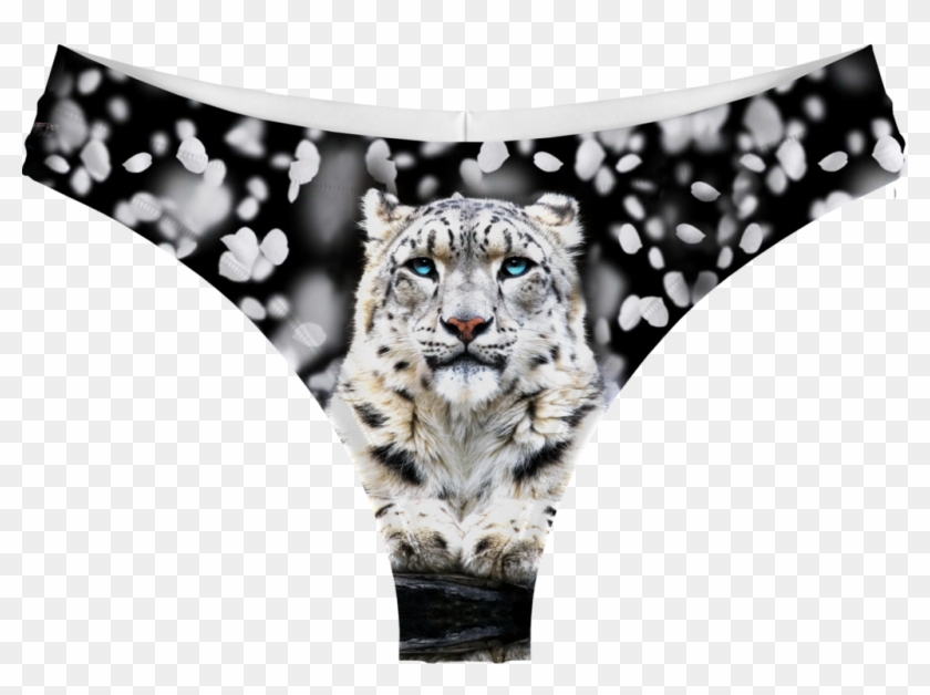 Snow - Marwell Wildlife #738249