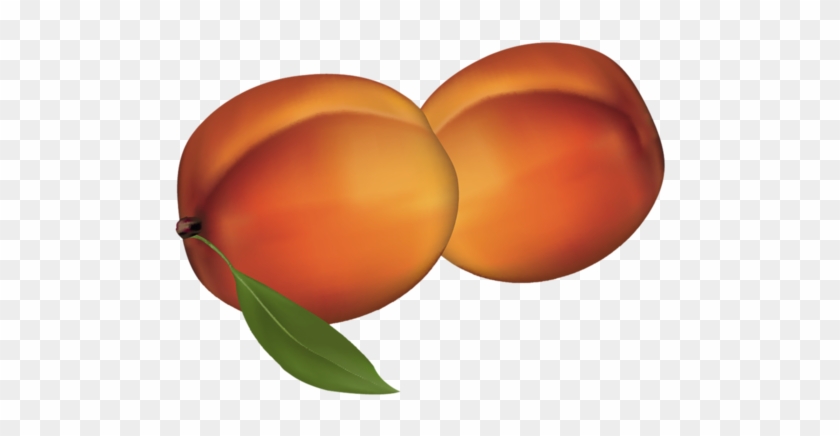 0 1808d8 D19cdb36 Xl - Nectarine #738750