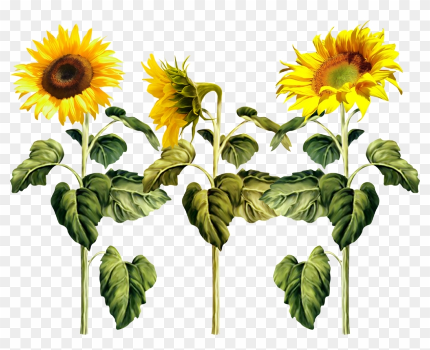 Common Sunflower Pixel Clip Art - Common Sunflower Pixel Clip Art #742103