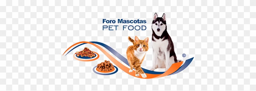 Logo-mascotas - Curver - 197527 - Petlife - Litter Storage Box - 23 #742471