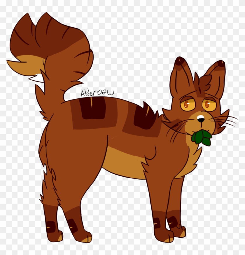 Poor Baby Alderpaw Thunderclan Warriors Warrior Cats - Cat #742945
