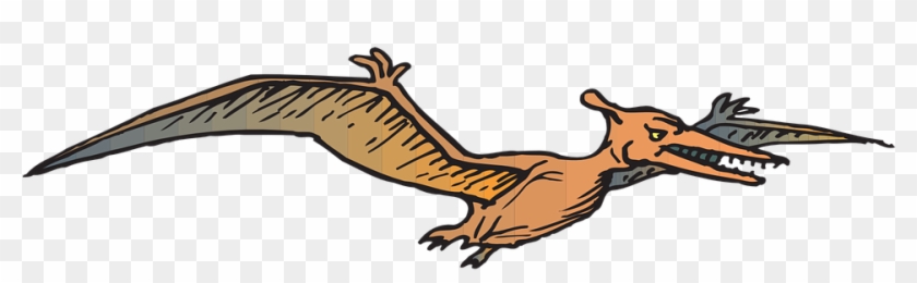 Brds Clipart Dinosaur Pencil And In Color Brds Clipart - Dinossauro Passaro #743282