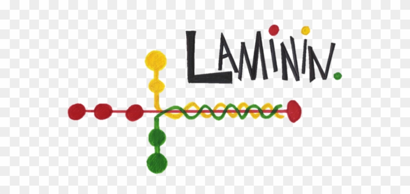 Laminin #744131