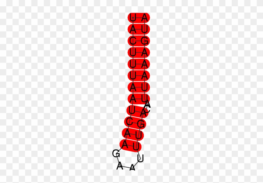 Fr075977 - Fr075977 #744186