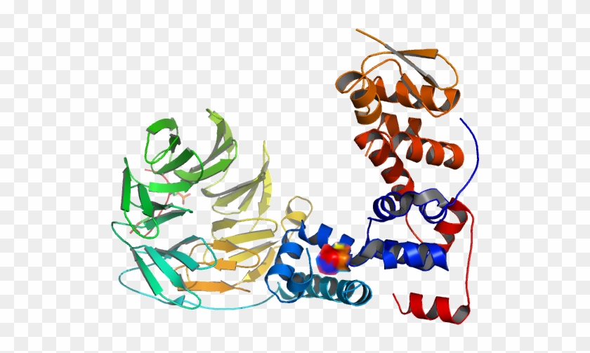 Structure Of A<br /> Beta Trcp1 Skp1 Beta Catenin - Daum #744315