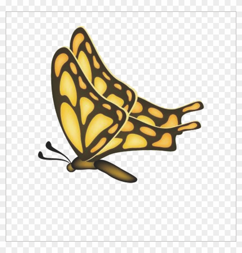 Monarch Butterfly Painting Illustration - Monarch Butterfly Painting Illustration #744474