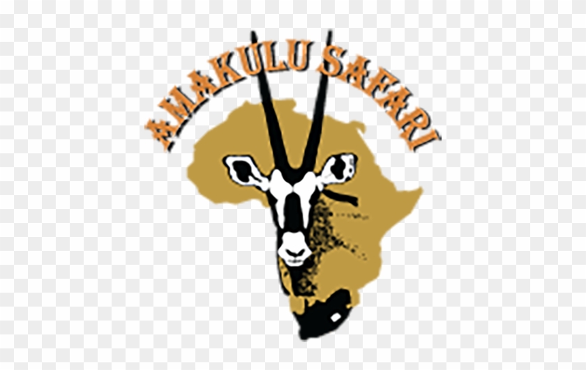 Samarbejdspartnere - Amakulu Safari #744566