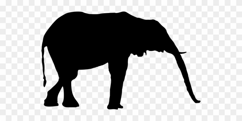 Park, Silhouette, Elephant, Animal, Wildlife - Svg Elephent #746201