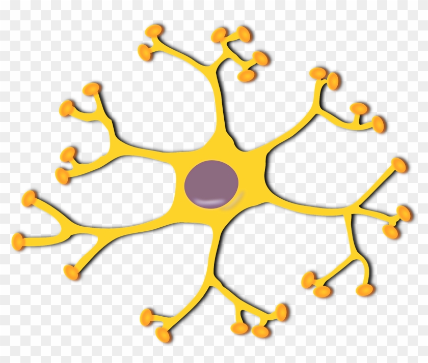 “lupus Is My Body Attacking My Body,” Explains Jackie - Neuron Png #746585