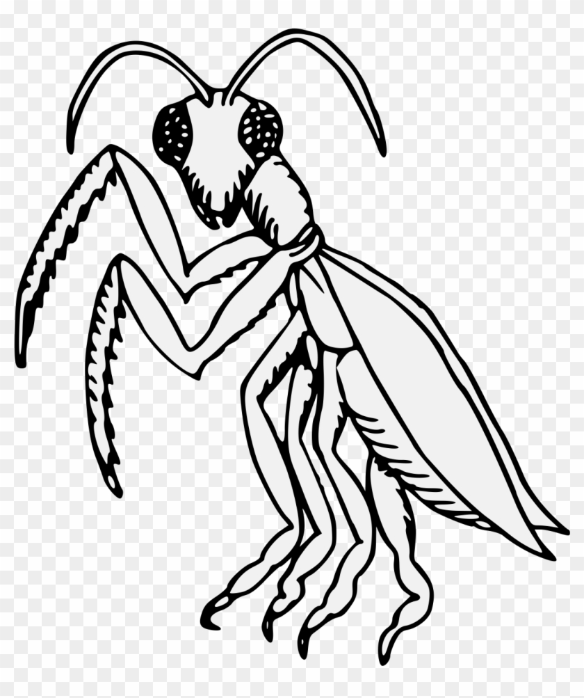 Praying Mantis Sejant Erect Guardant - Illustration #746611