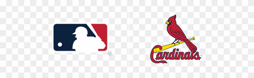 Louis Cardinals Can - St Louis Cardinals #747994