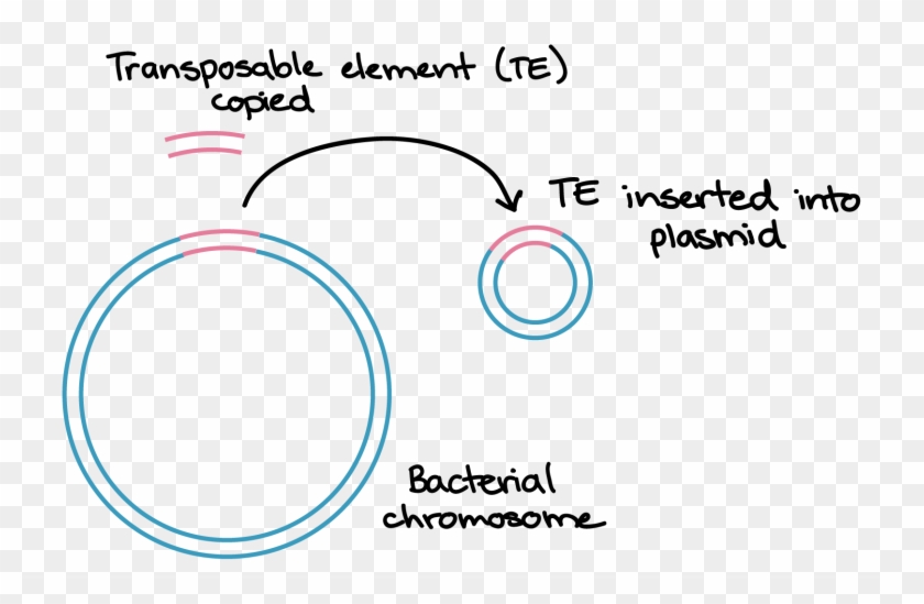 Circle #748214