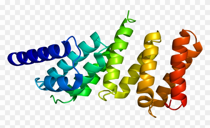 Eif4g3 #748257