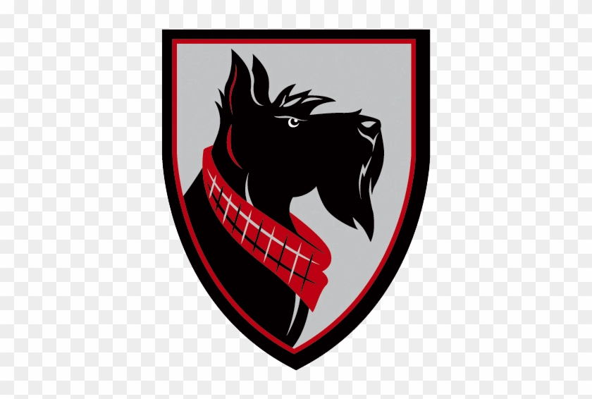 Carnegie Mellon Carnegie Mellon Womens College Track - Carnegie Mellon Tartans #748797