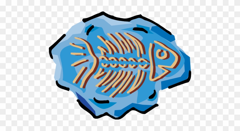 Fossil - Fossil #749585