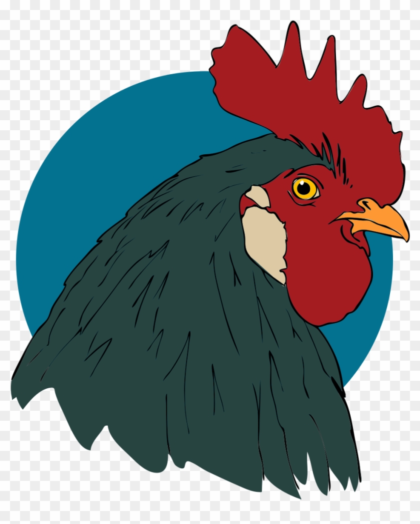 Rooster Closeup - Rooster Public Domain #753043