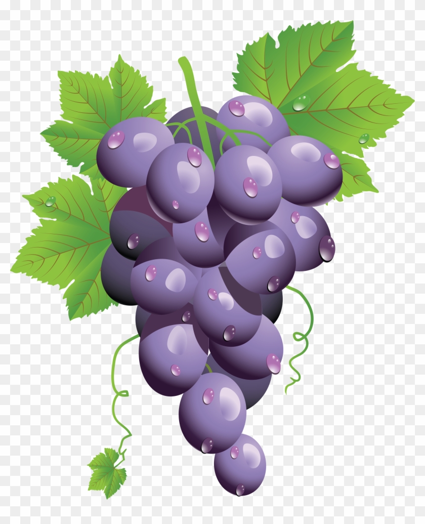 Grape Clipart Transparent Background - Sicohome Baby Play Matthineasy To Clean And Carrysecurity #753488