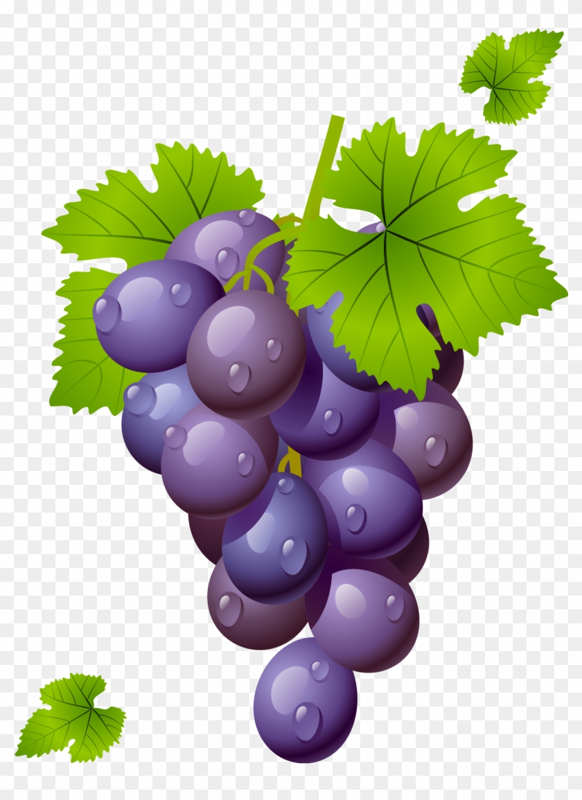 Grapes Grape Clipart Grapeclipart Fruit Clip Art Photo - Grapes Clipart Png #753494