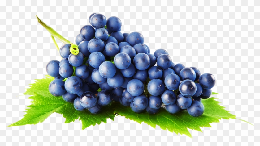Blue Grape Clipart - Mtn Ops Ignite Supercharged Energy And Focus Drink-grape-45 #753566