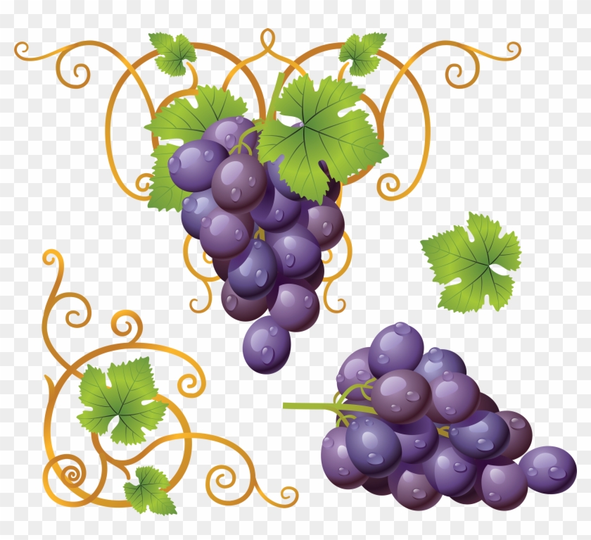 Grapes Clipart Purple Color - Grappe De Raisins Dessin #753641
