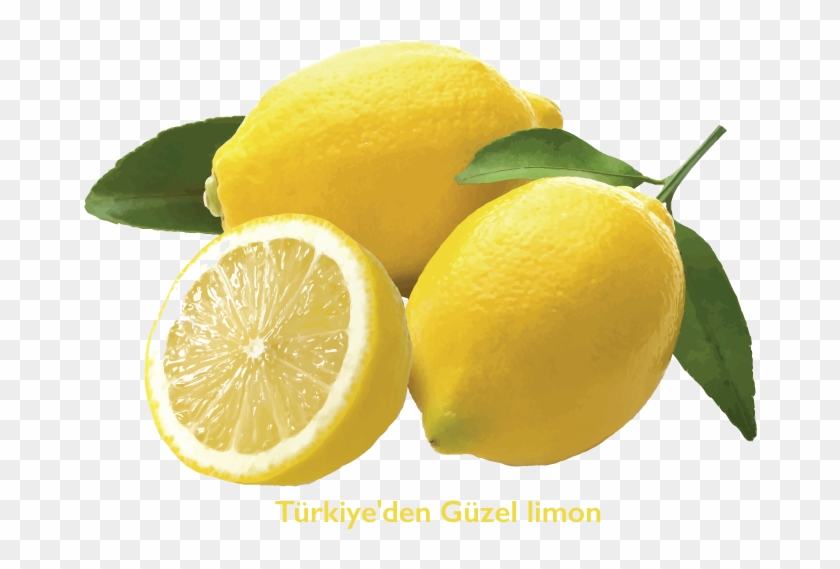 If You Want/need To Start From Seed, Have A Look At - Lemon Africa #753811