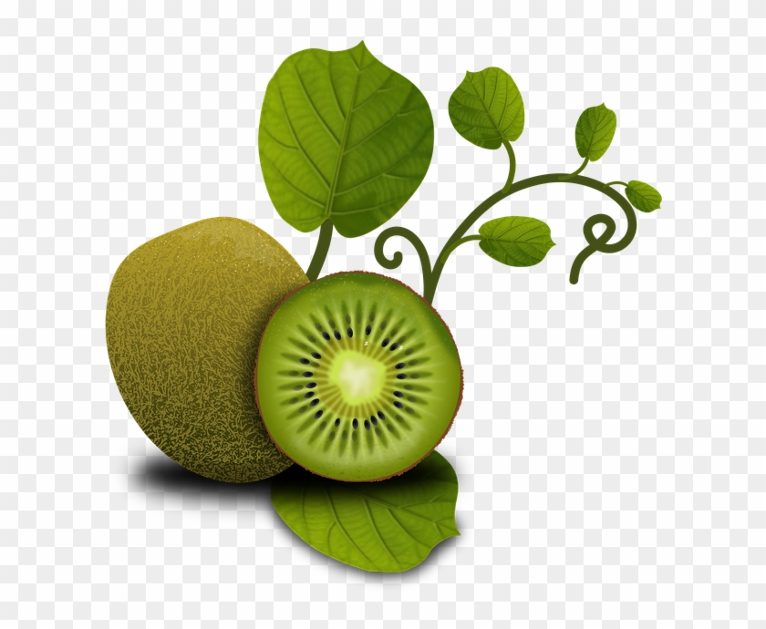 Kiwi Png - Cafepress ! Iphone 7 Tough Case #754017