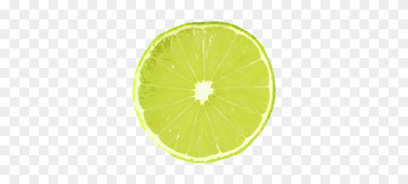Lime Slice Lime Slice Slice Of Lime Green - Lime Slice Texture Png #754179