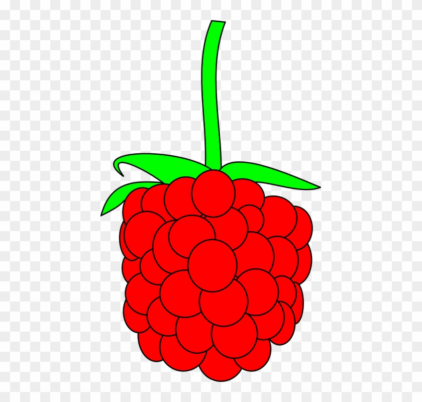 Seedles Watermelon Cliparts 24, Buy Clip Art - Custom Red Raspberry Shower Curtain #754287