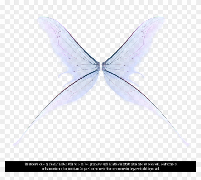 Tinkerbell White Background Tinkerbell White Background - Fairy Wings On Transparent Background #754570