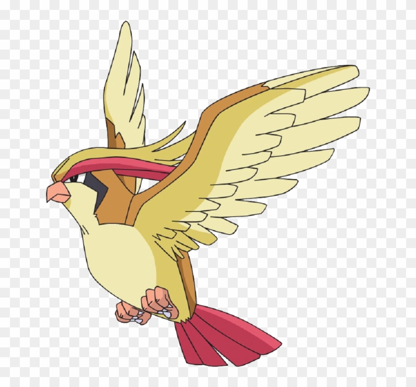 Or This Guy - Pokemon Tauboss #755387