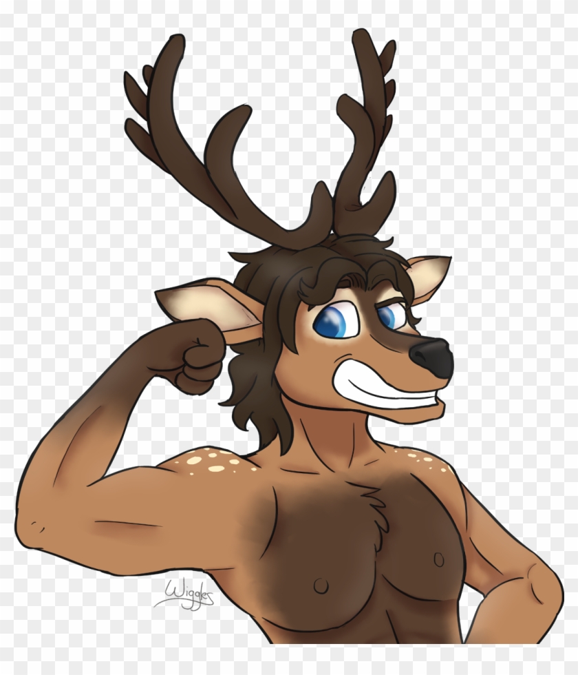 Reindeer #756658