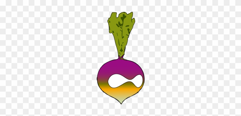Turnip Is Opensourcery's Drupal Starting Kit - Leaf Vegetable #757367