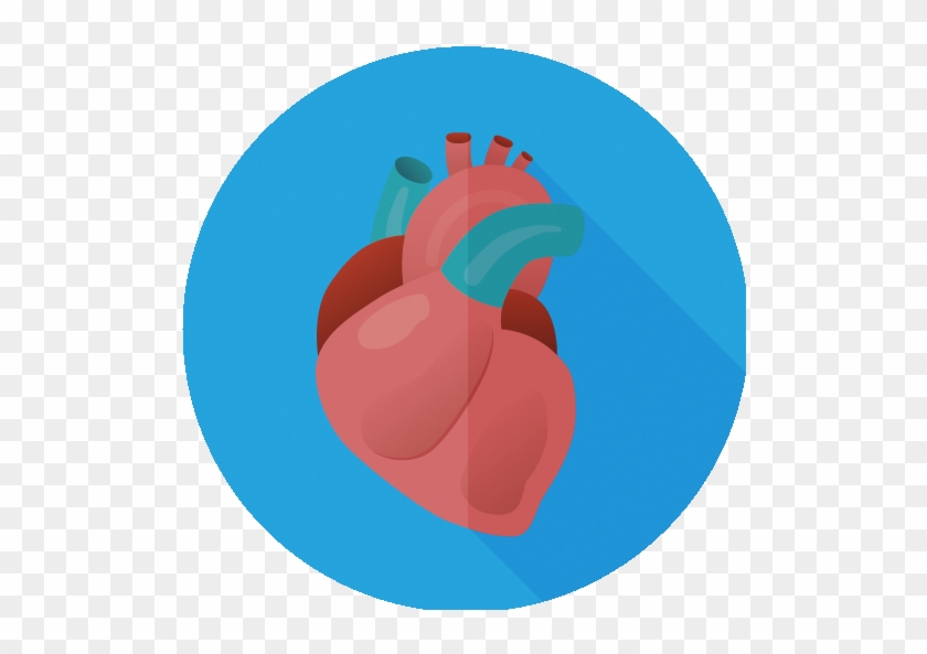 Appointment With A Cardiologist - Cardiology #758074