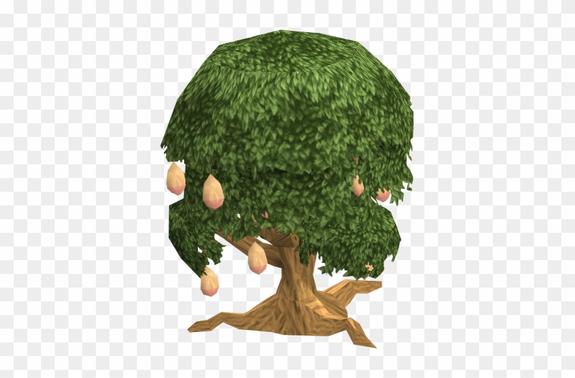 Mango Tree Fairy Tale - Mango Tree Transparent #758295