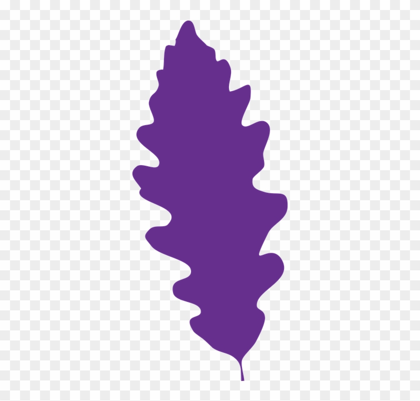 Oak Leaf Vector 14, Buy Clip Art - Leaf #758343