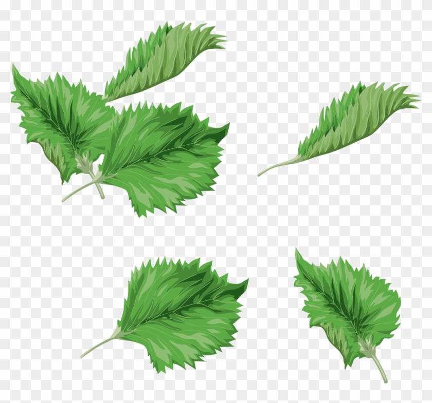 Leaf Green Watercolor Painting Clip Art - Leaf Green Watercolor Painting Clip Art #758543
