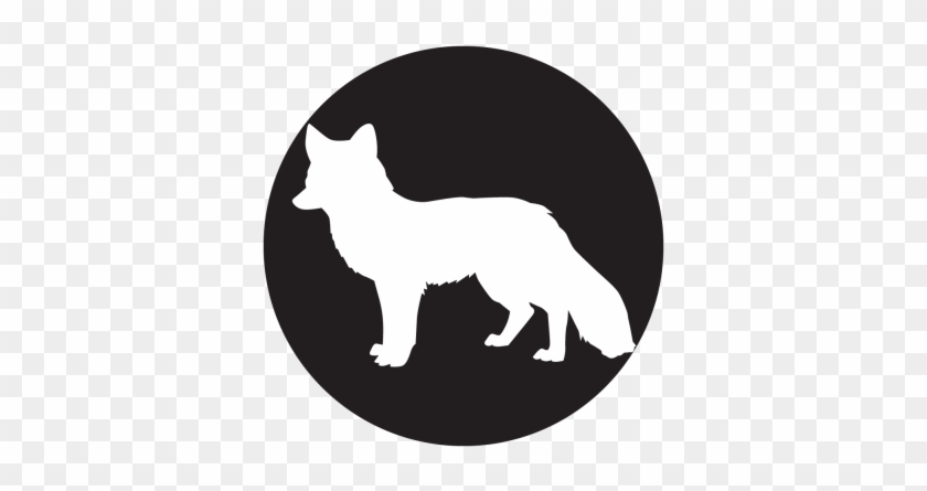 Foxy Silhouette Gobo Projected Image - Dog Gobo #759363