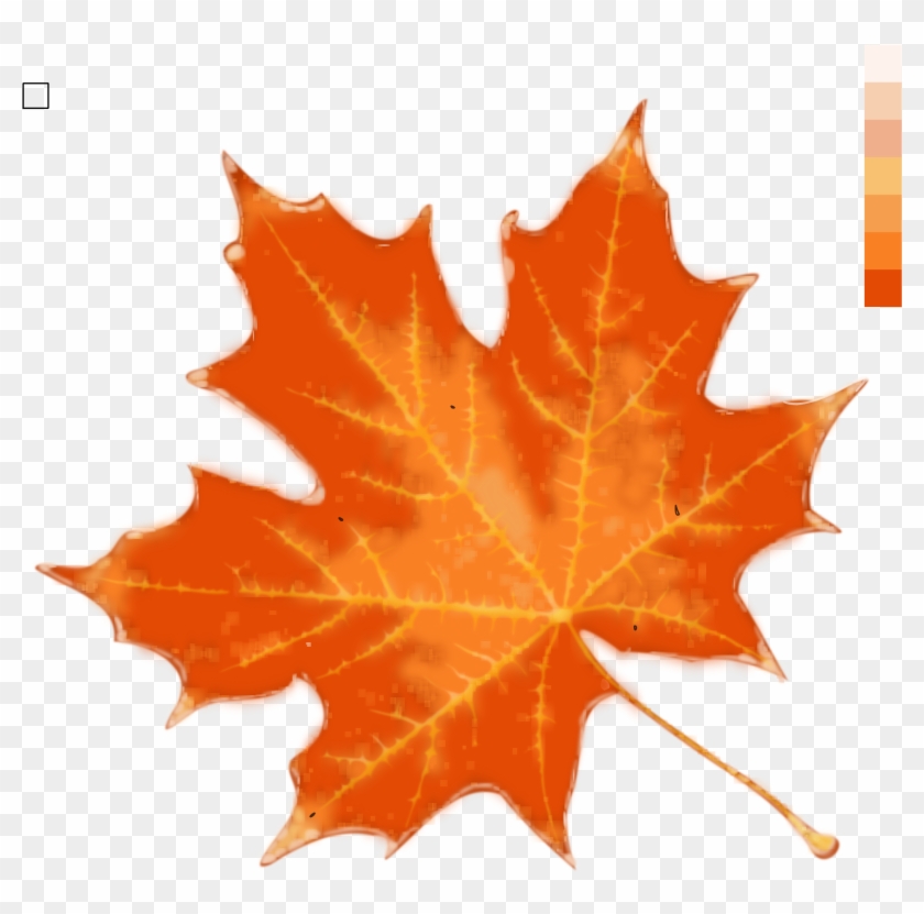 Png Images 70000 Transparent Free Pngs - Celtic Lightning: How The Scots And The Irish Created #759649