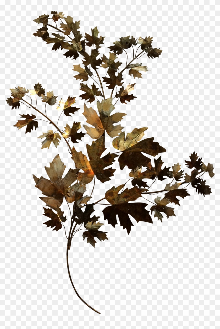   Leaf #759768